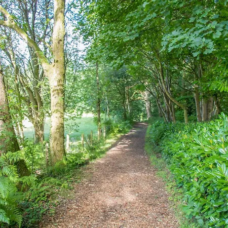 Ginger & Pickles ويندرمير