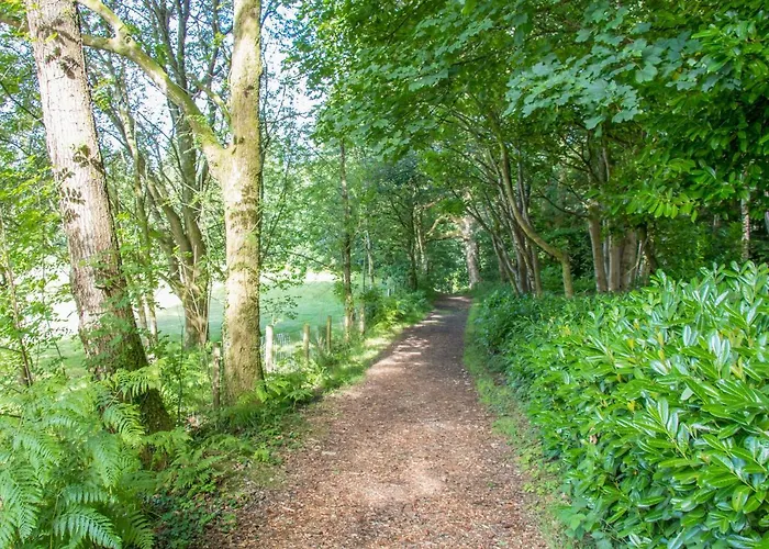 Ginger & Pickles ويندرمير